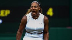 tennis news today - Serena Williams WTA